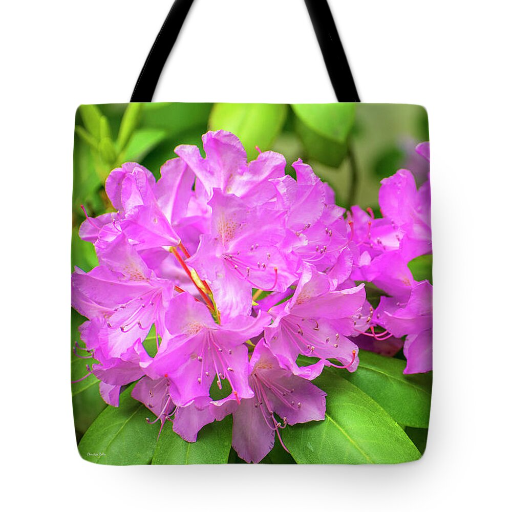 Rhododendron Tote Bag featuring the photograph Rhododendron Flowers by Christina Rollo