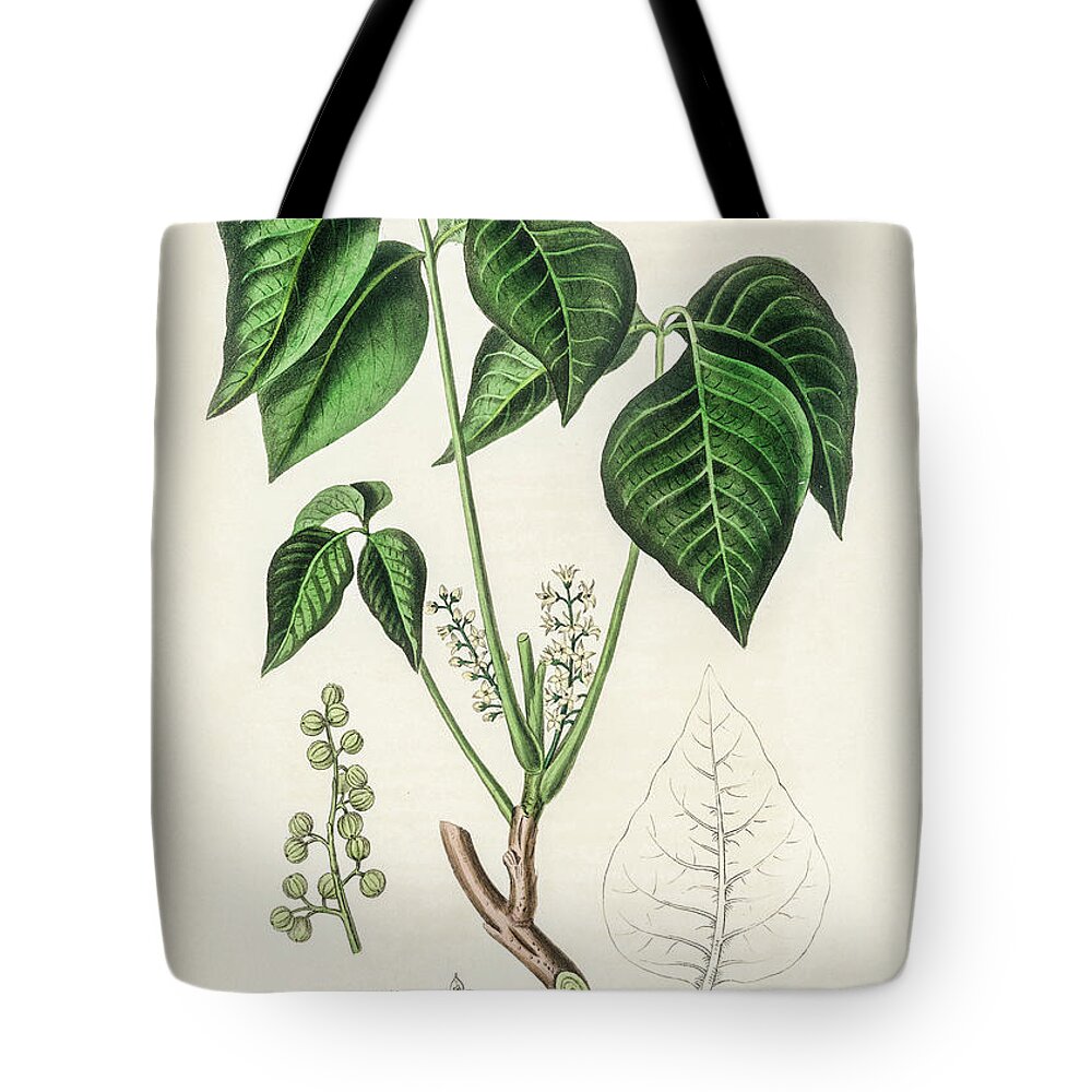 Poison Ivy Tote Bags