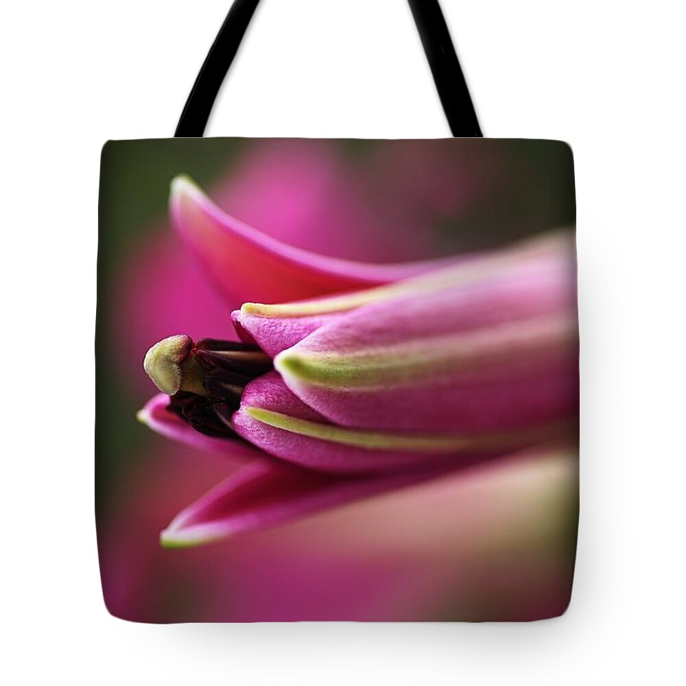 Lily Tote Bag featuring the photograph Rich Pink Lily Bud by Joy Watson