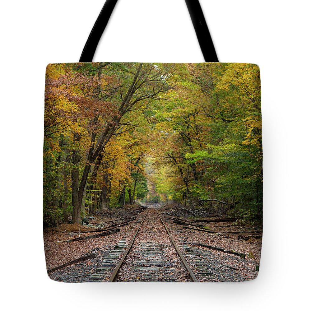 Rail Road Tote Bag featuring the photograph Ride into the Colors of Fall by Yelena Rozov