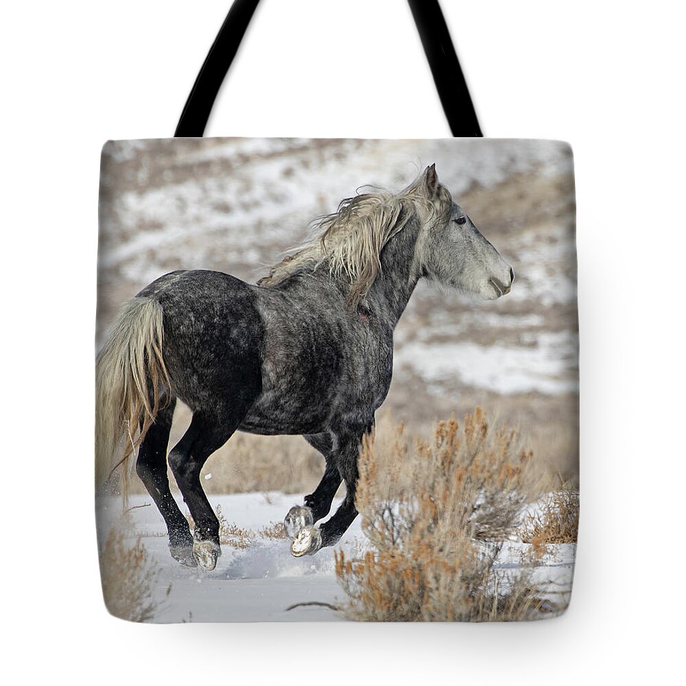 Wild Mustangs Tote Bag featuring the photograph Rigel on the Run by Mindy Musick King