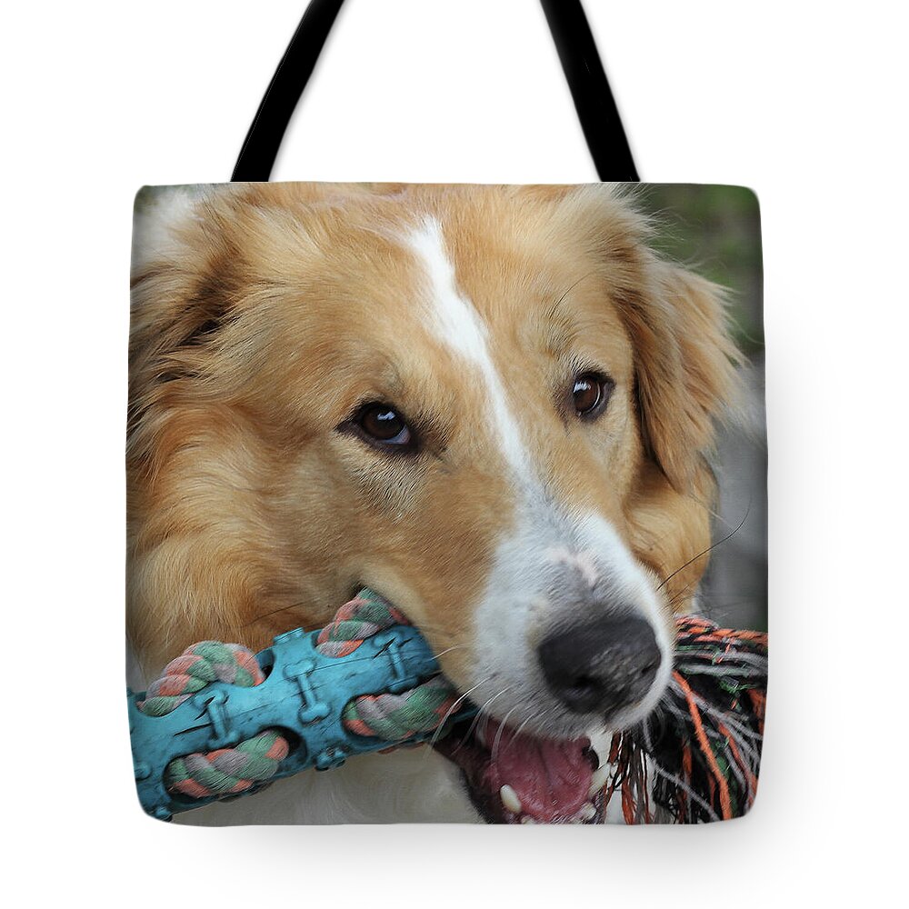 Dog Tote Bag featuring the photograph Riley by Rick Redman