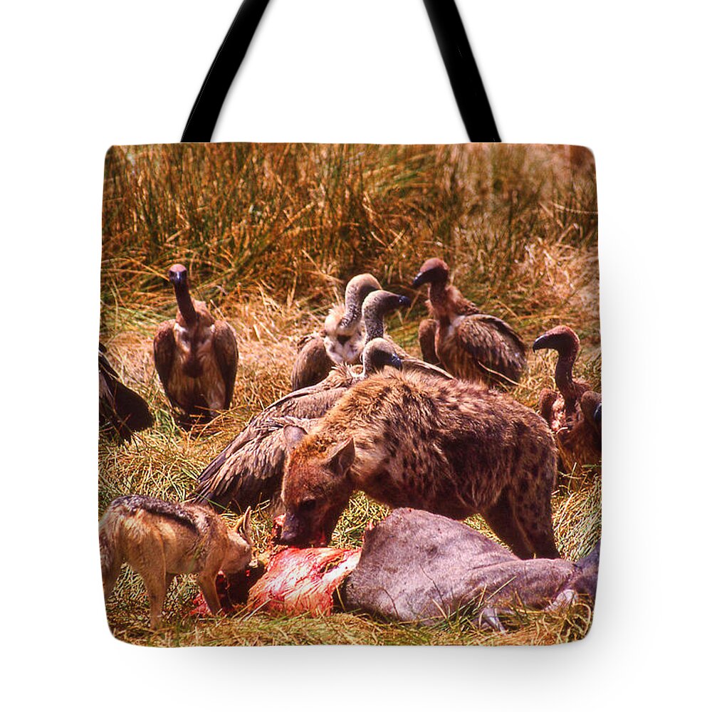 Africa Tote Bag featuring the photograph Rest In Peace Life Goes On in Africa by Russel Considine