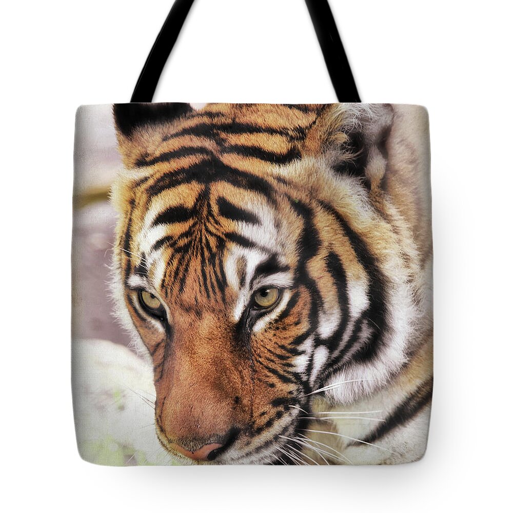 Tigers Tote Bag featuring the photograph RIP Sita by Elaine Malott