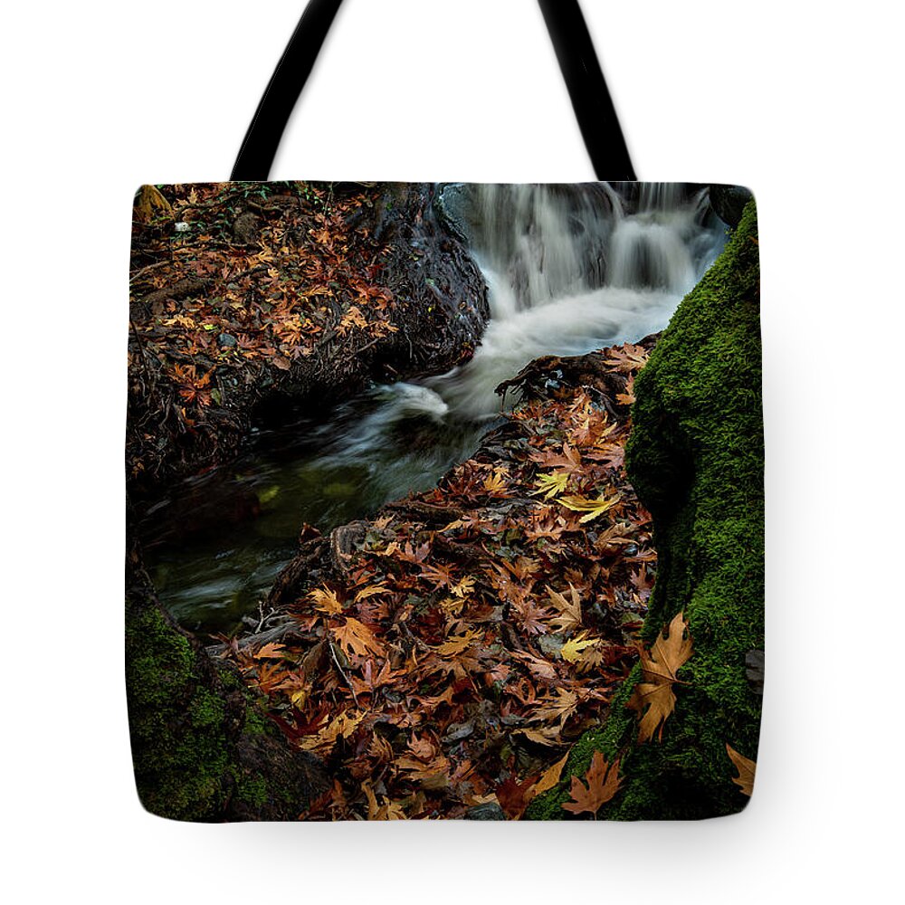 Waterfall Tote Bag featuring the photograph River flowing with maple leaves on the rocks on the riverside in autumn season by Michalakis Ppalis