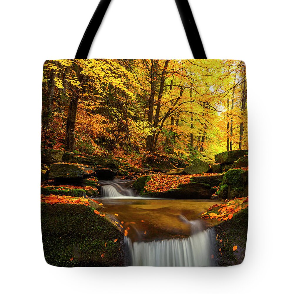 Mountain Tote Bag featuring the photograph River Rapid by Evgeni Dinev