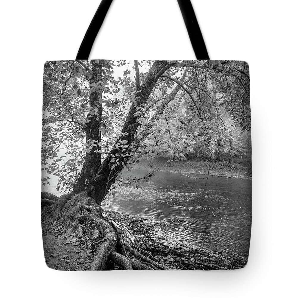 Black Tote Bag featuring the photograph River Roots Black and White by Debra and Dave Vanderlaan
