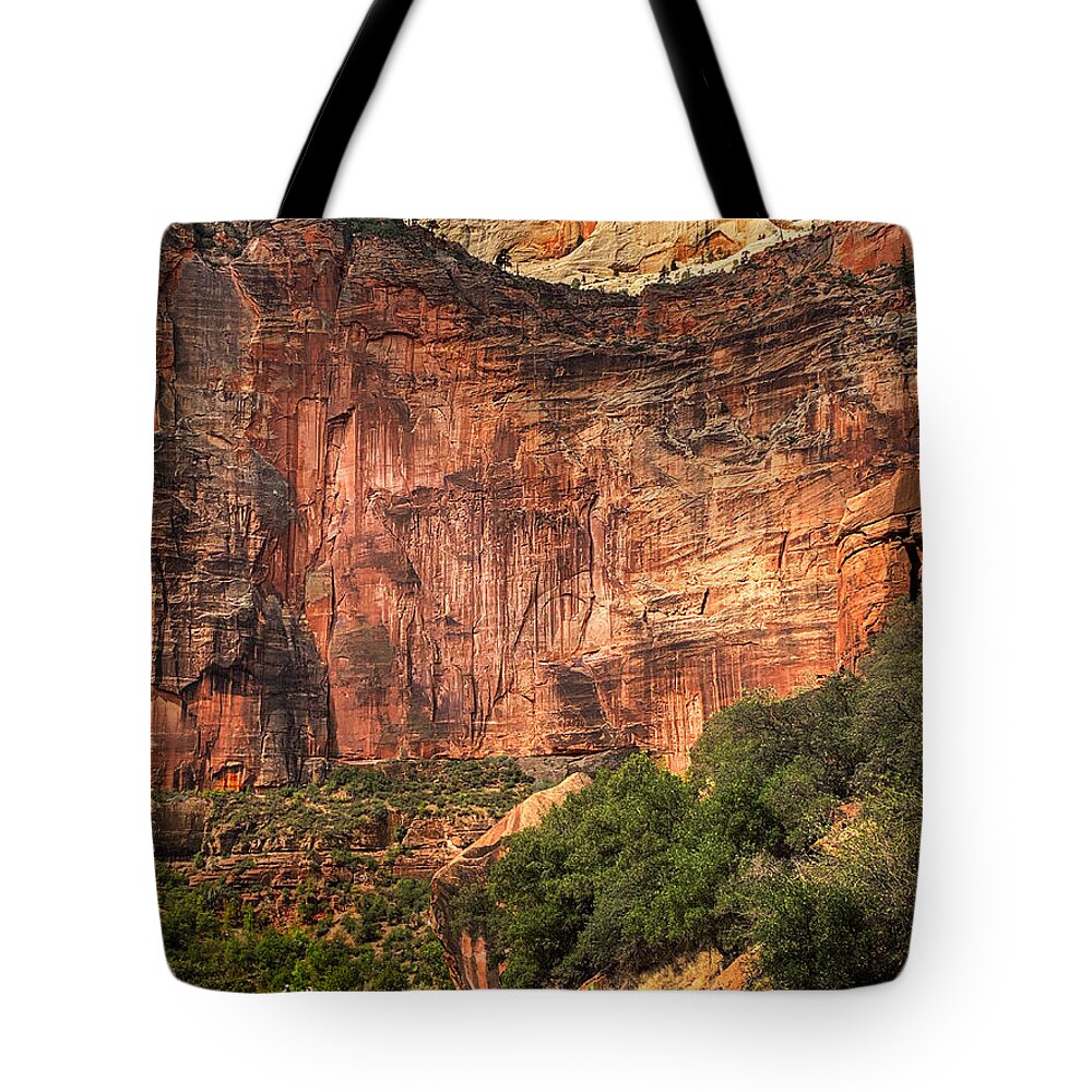 Photograph Tote Bag featuring the photograph Road Into Zion, Utah by John A Rodriguez