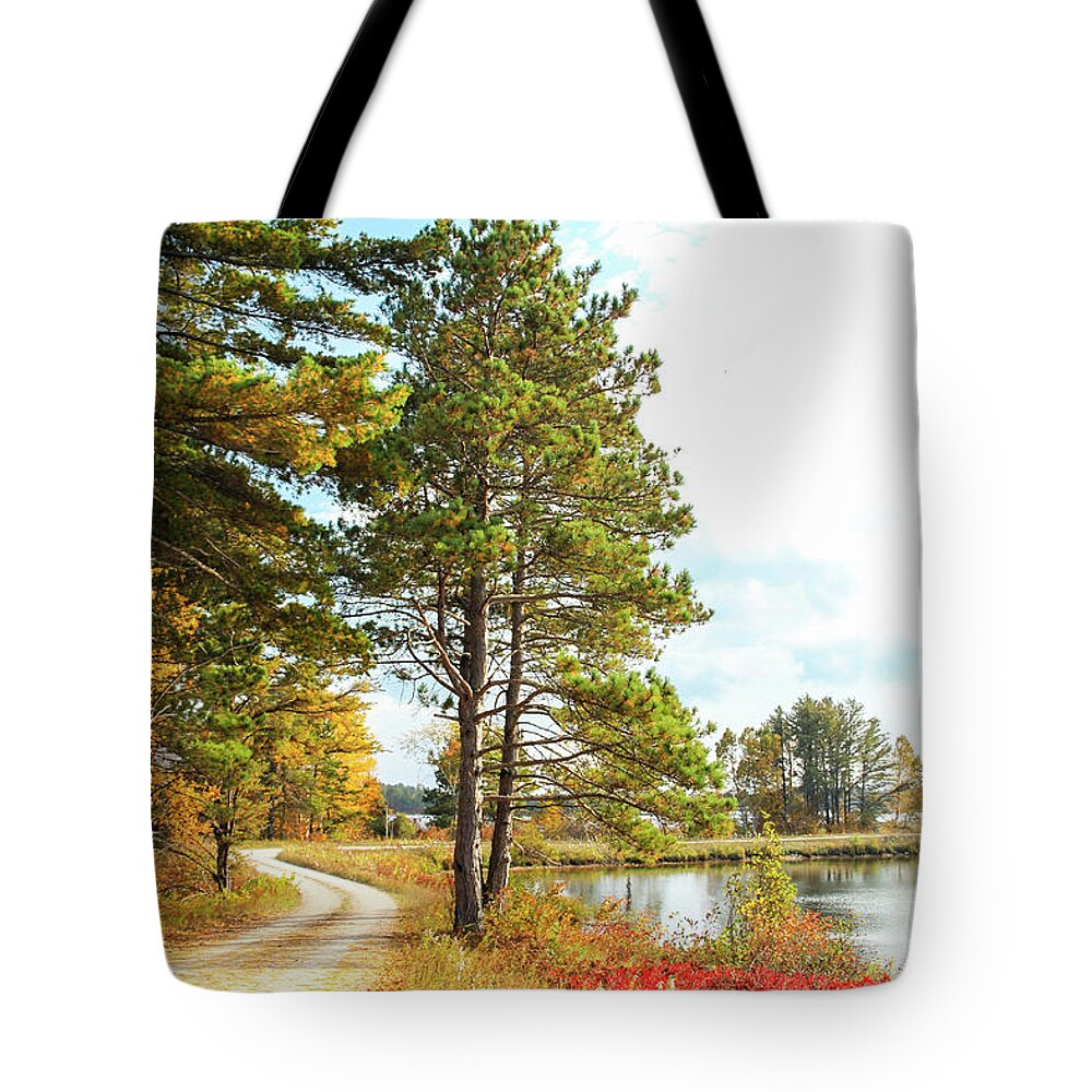 Seney National Wildlife Refuge Tote Bag featuring the photograph Road Through the Wildlife Refuge by Robert Carter
