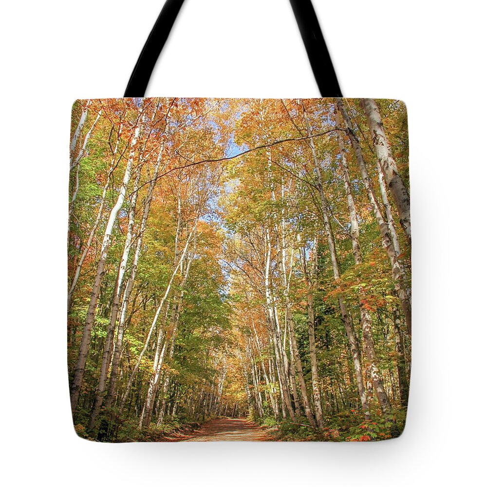 Michigan Tote Bag featuring the photograph Road to the Trailhead by Robert Carter