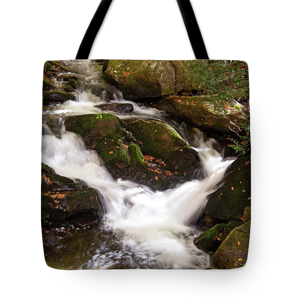 Stream Tote Bag featuring the photograph Roadside Beauty by Gina Fitzhugh