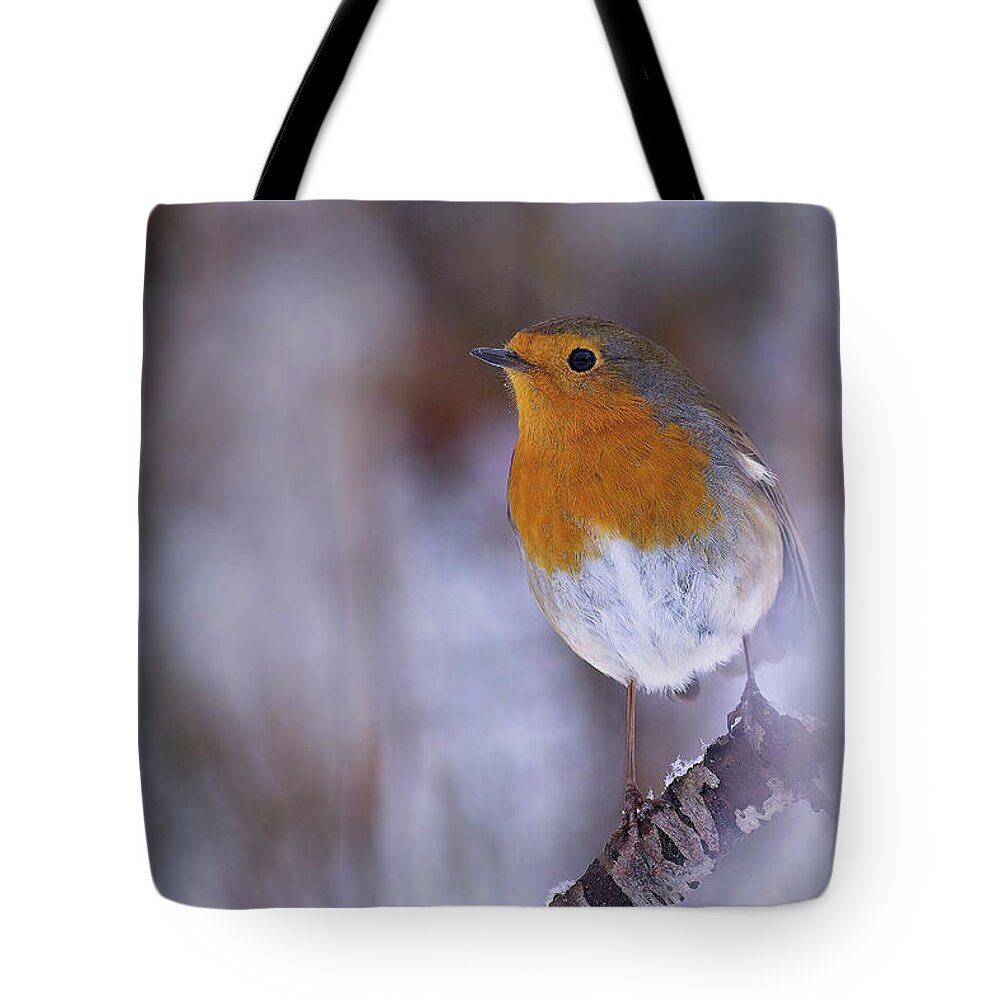 Erithacus Rubecula Tote Bag featuring the photograph Robin in the snow by Tony Mills