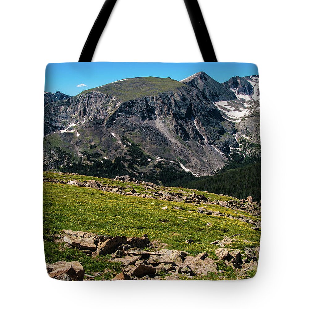 Alpine Tote Bag featuring the photograph Rock Cut Overlook 2 from Trail Ridge Road, Rocky Mountain National Park, Colorado by Tom Potter