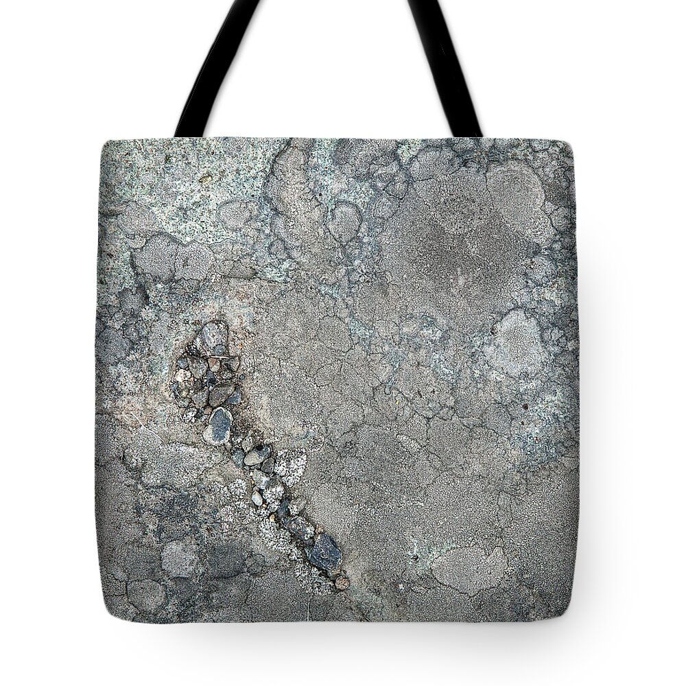 Lichen Tote Bag featuring the photograph Rock Lichen by Theresa Tahara