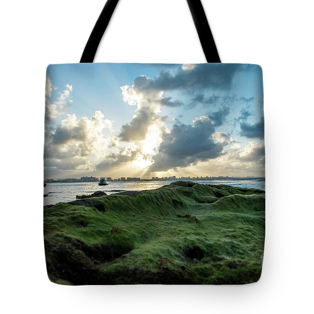 Piñones Tote Bag featuring the photograph Rocks Covered in Moss at Sunset, Pinones, Puerto Rico by Beachtown Views