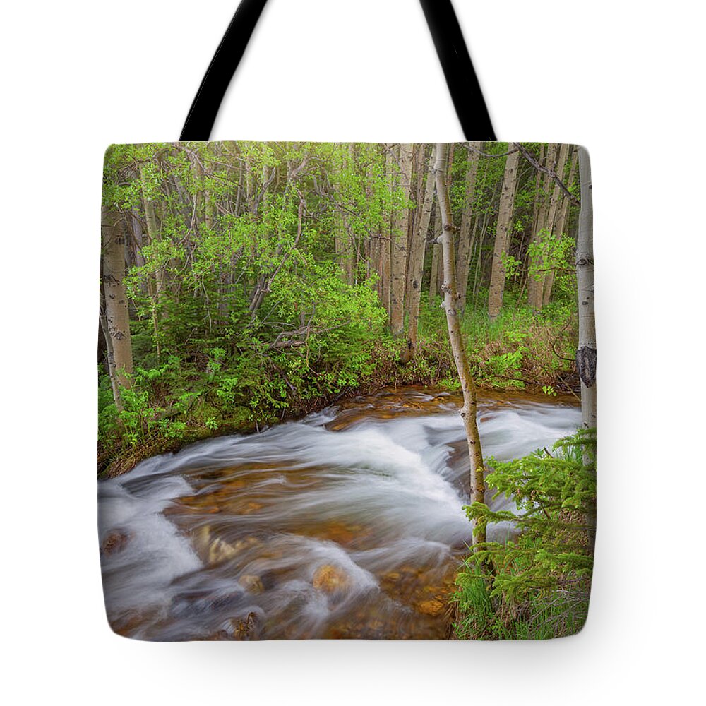 Stream Tote Bag featuring the photograph Rocky Mountain Stream by Darren White