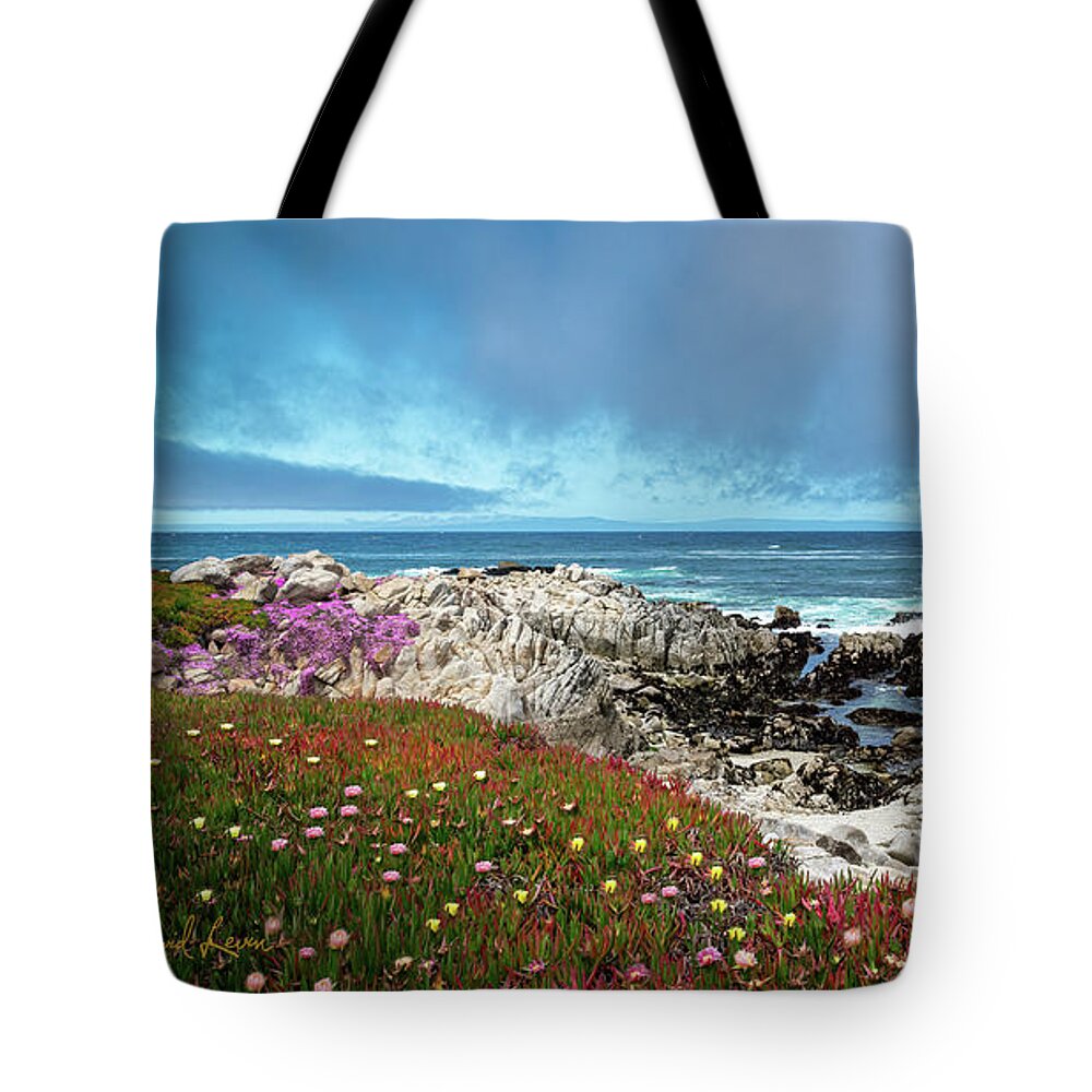 Beach Tote Bag featuring the photograph Rocky Promontory by David Levin