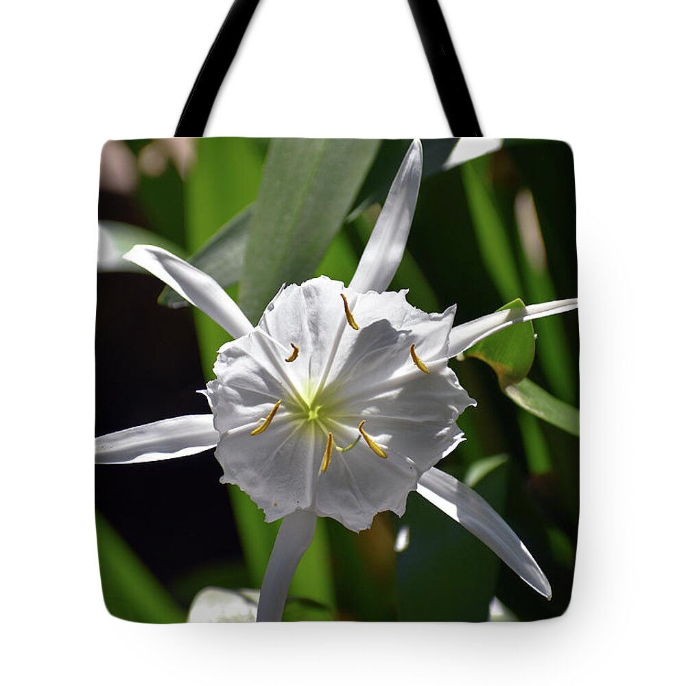 Pictures Of Flowers Tote Bag featuring the photograph Rocky Shoal Spider Lily 3 by Skip Willits