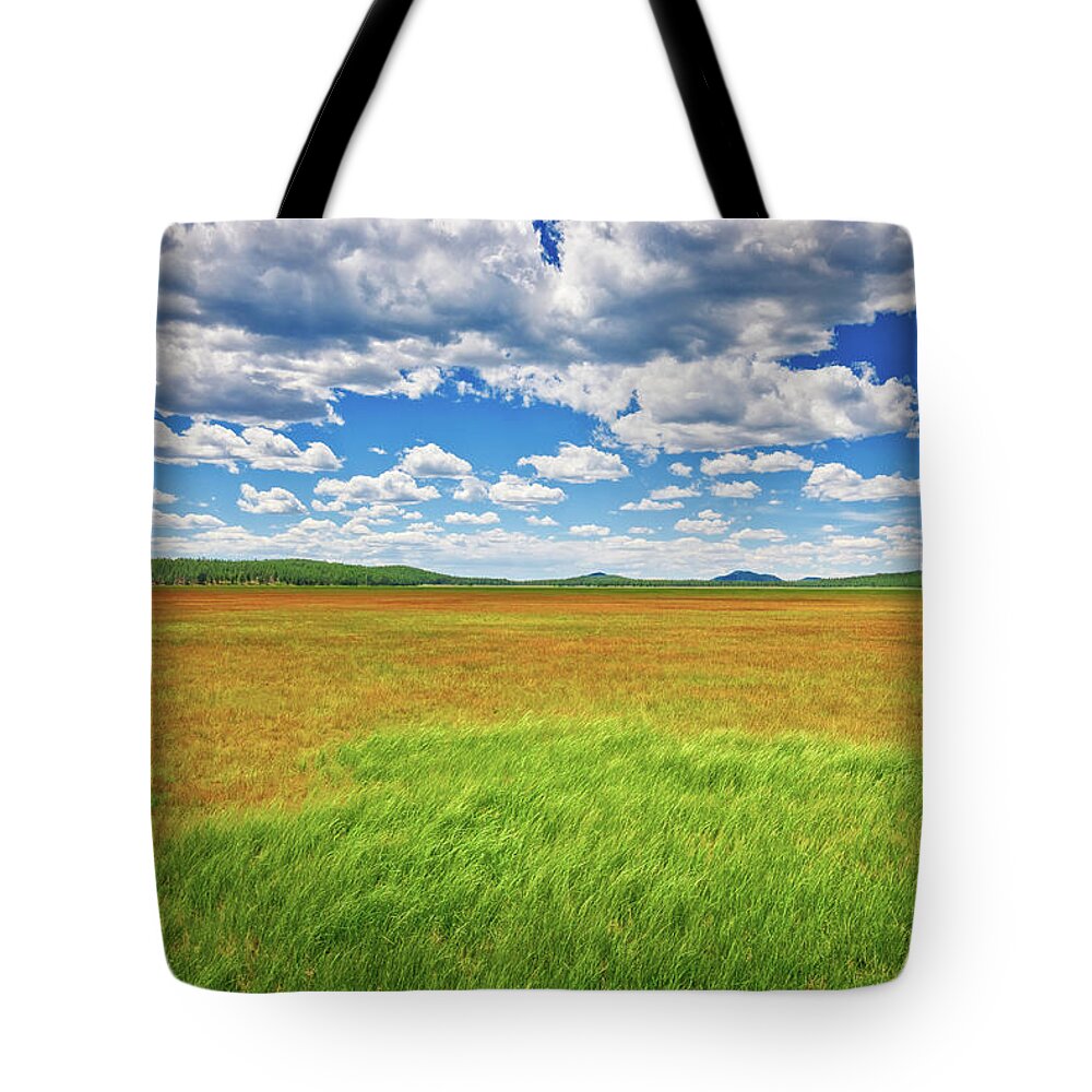 Arizona Tote Bag featuring the photograph Rogers Lake by Jeff Goulden