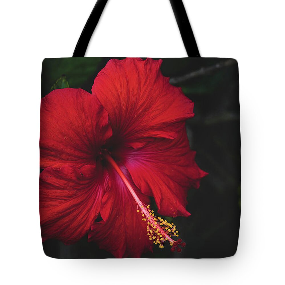 Flowers & Plants Tote Bag featuring the painting Romantic Red Hibiscus by Adam Johnson