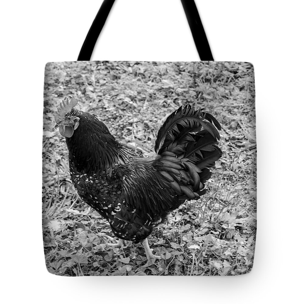 Rooster Tote Bag featuring the photograph Rooster BW by Cathy Anderson