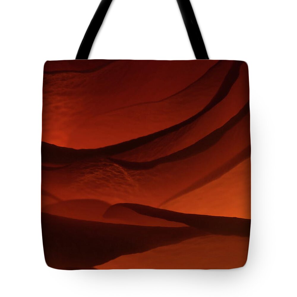 Macro Tote Bag featuring the photograph Rose 2342 by Julie Powell