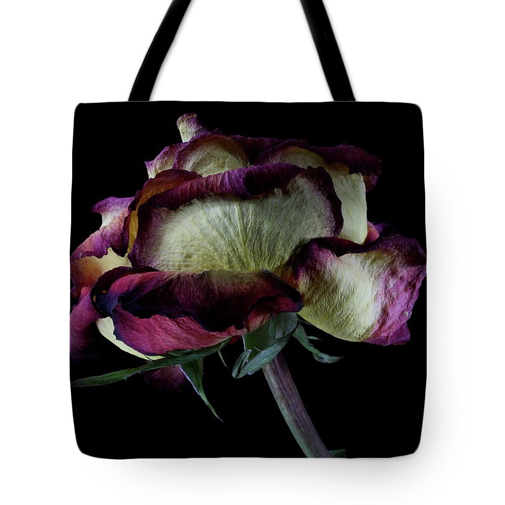 Macro Tote Bag featuring the photograph Rose 3092 by Julie Powell