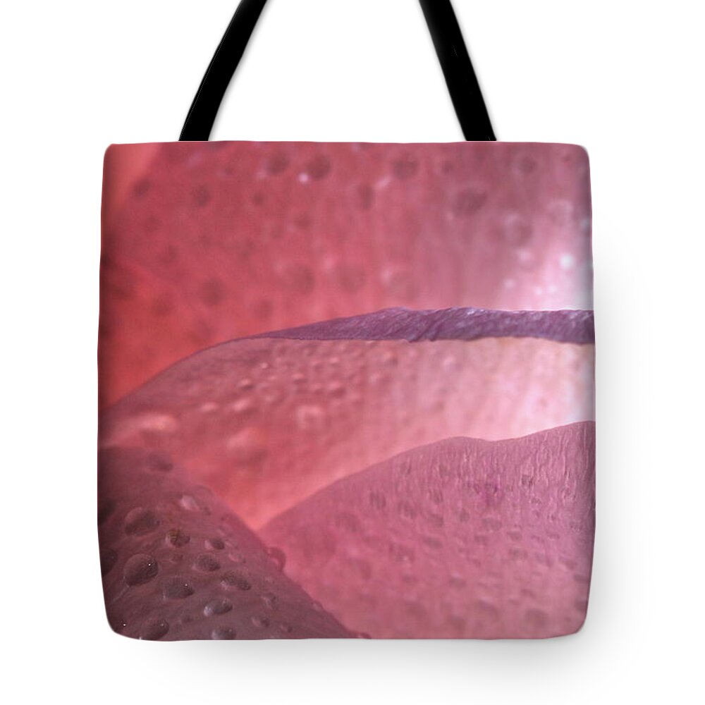 Macro Tote Bag featuring the photograph Rose 4069 by Julie Powell