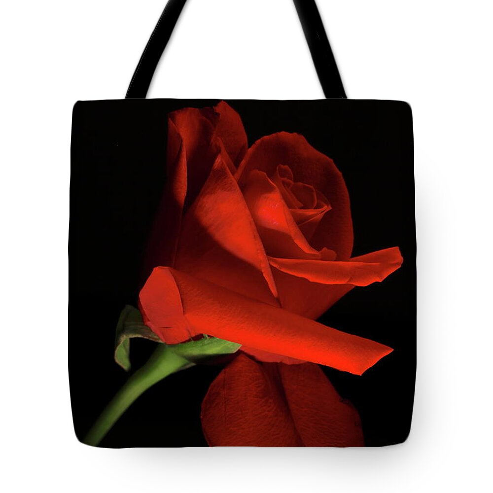 Macro Tote Bag featuring the photograph Rose 8702 by Julie Powell