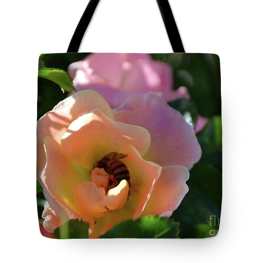 Rose Photography Tote Bag featuring the photograph Rose and Bee in the Sunshine by Expressions By Stephanie