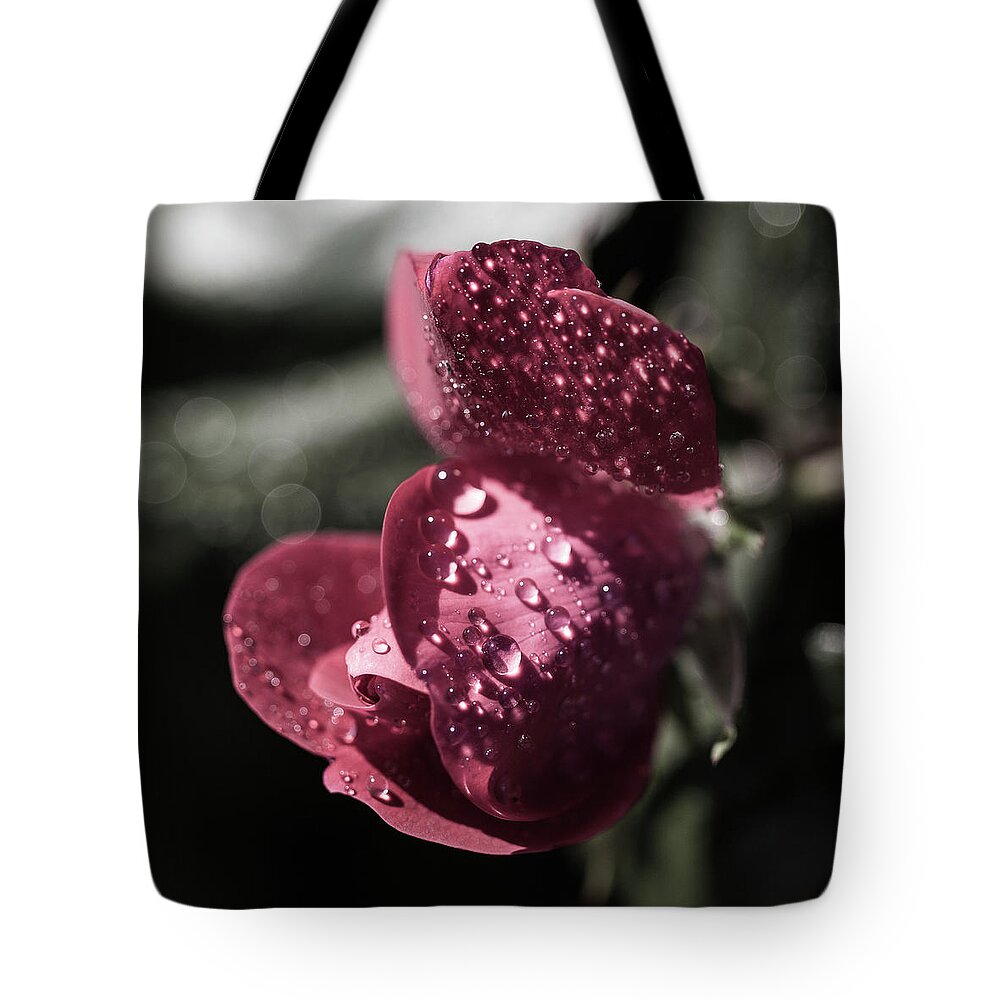 Flower Tote Bag featuring the photograph Rose by David Beechum