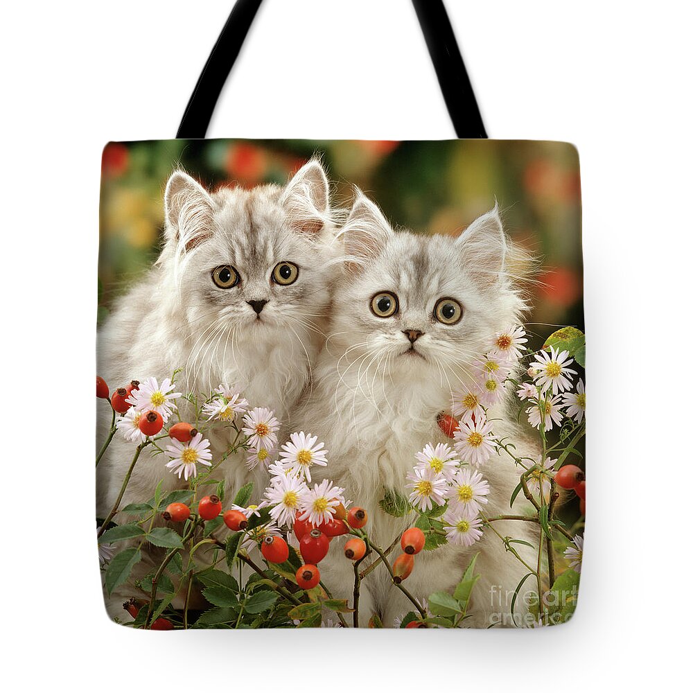 Two Silver Tote Bag featuring the photograph Rose hip Persians by Warren Photographic