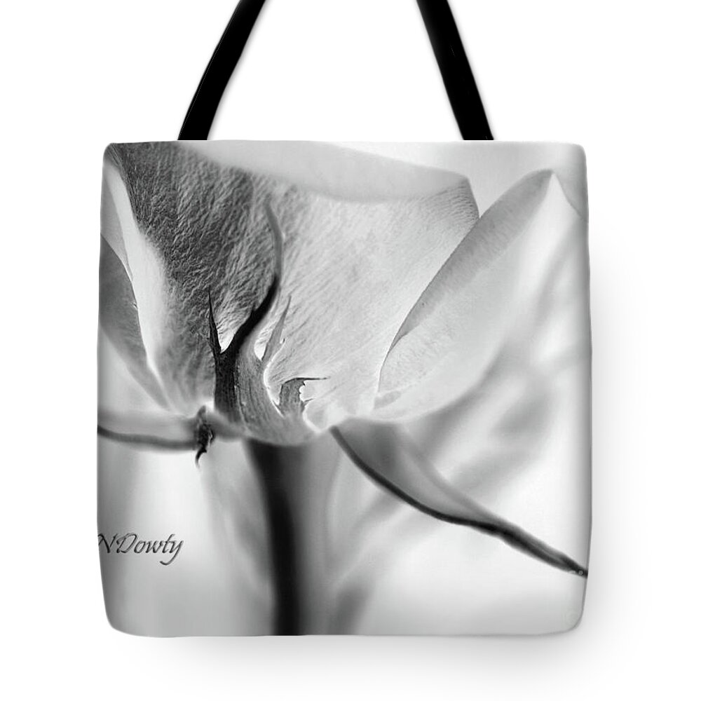 Rose Sepal Bw Tote Bag featuring the photograph Rose Sepal BW by Natalie Dowty