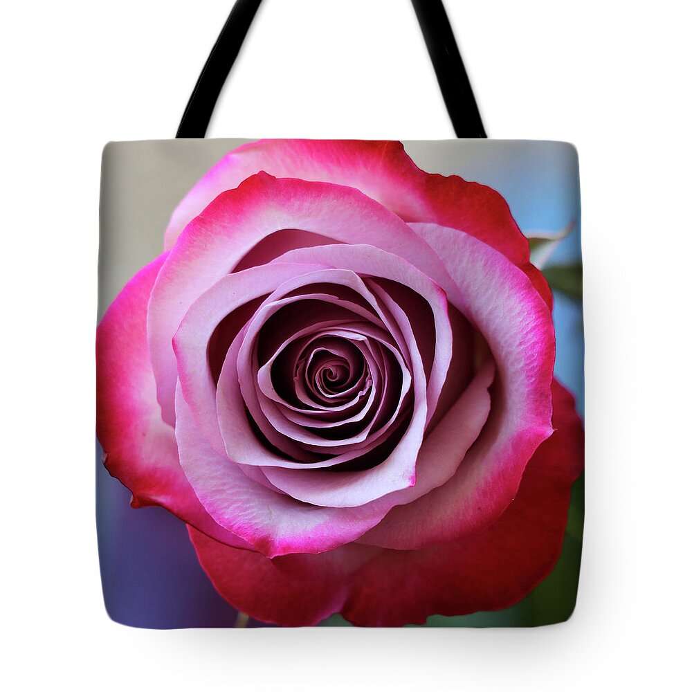 Rose Tote Bag featuring the photograph Rose Swirl by Mary Anne Delgado