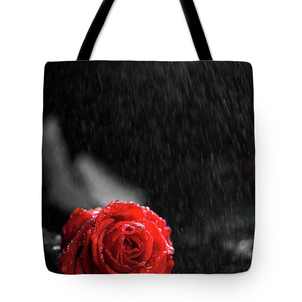 Roses Tote Bag featuring the photograph Rose with water drops by Jelena Jovanovic
