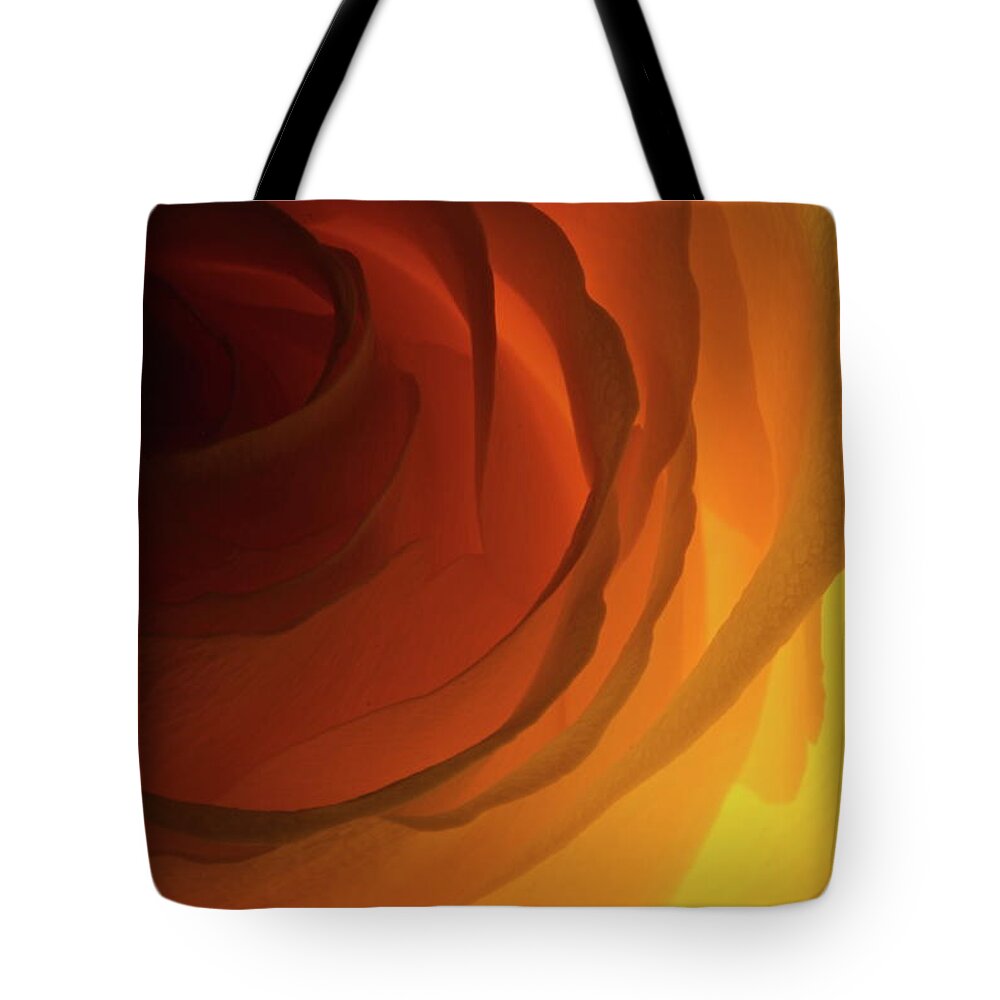 Macro Tote Bag featuring the photograph Rose Yellow 2295 by Julie Powell