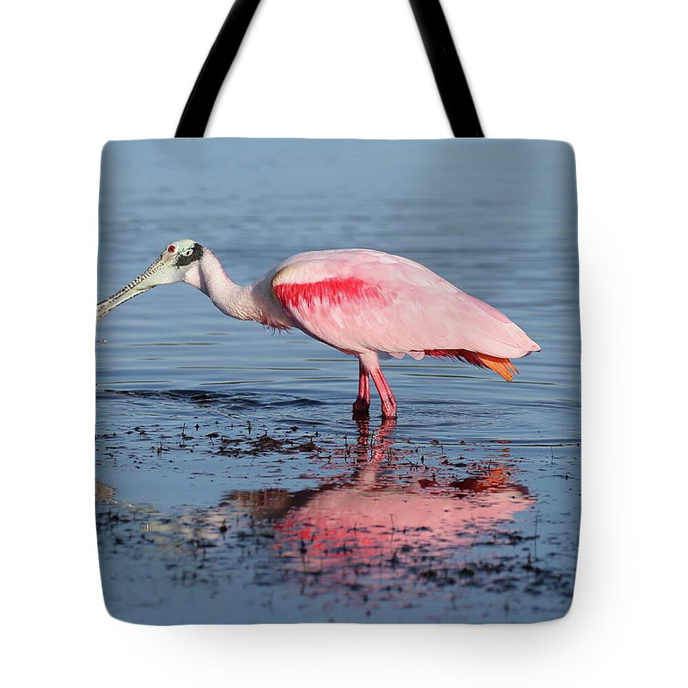 Roseate Spoonbill Tote Bag featuring the photograph Roseate Spoonbill 15 by Mingming Jiang
