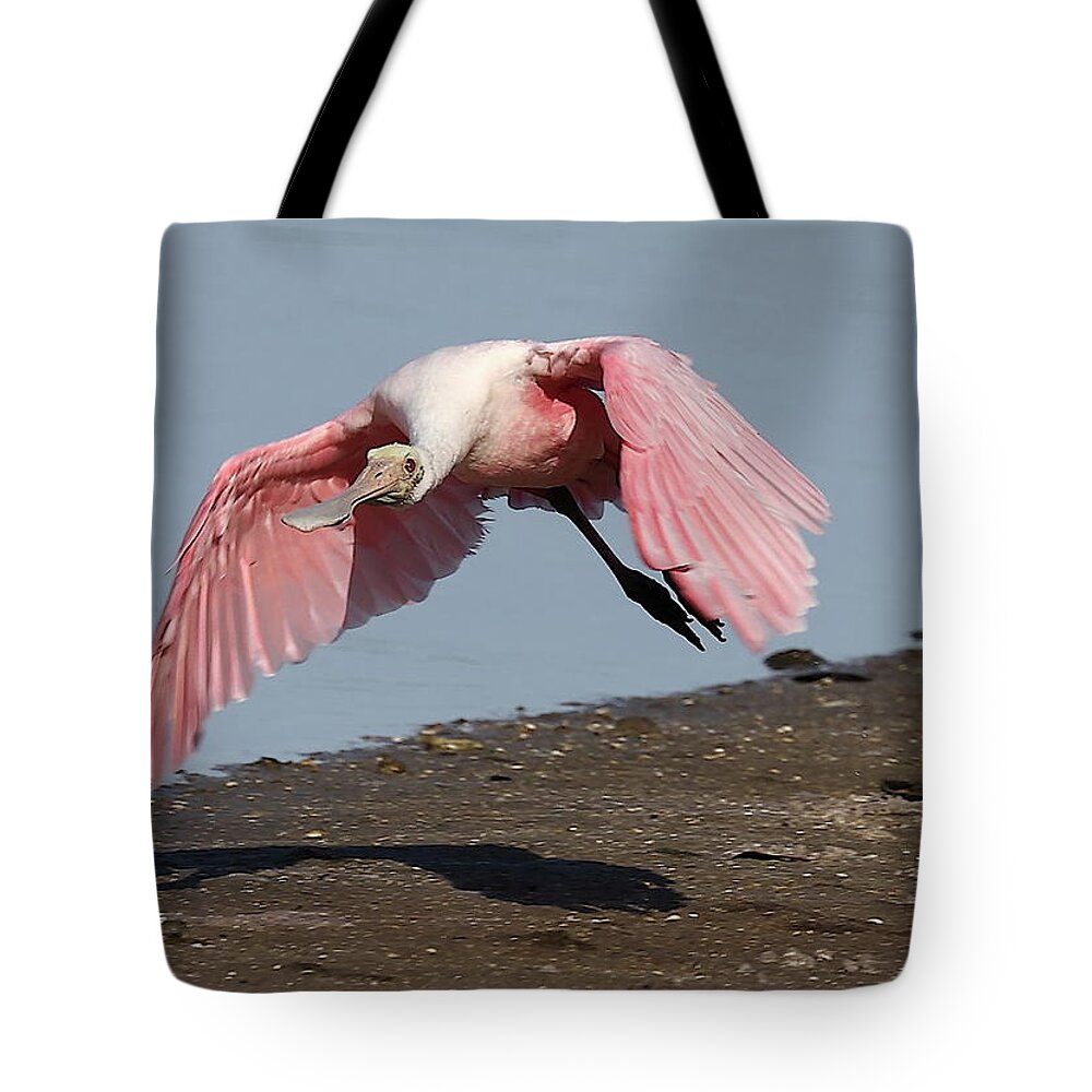 Roseate Spoonbill Tote Bag featuring the photograph Roseate Spoonbill 8 by Mingming Jiang