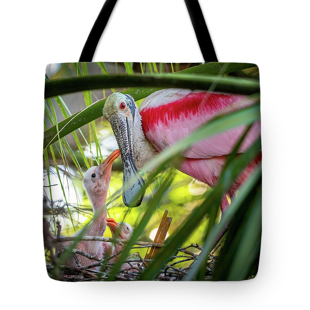 Roseate Spoonbill Tote Bag featuring the photograph Roseate spoonbill and chicks by Robert Miller