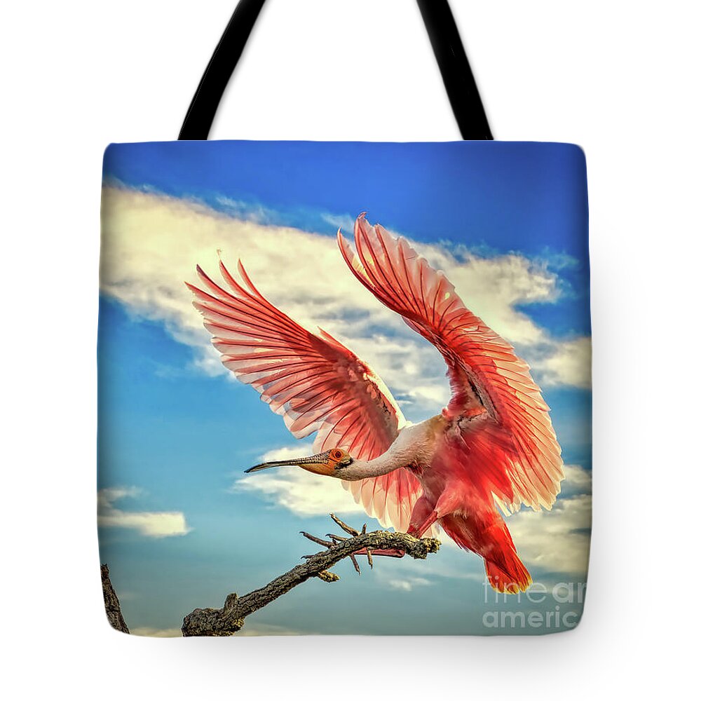 Birds Tote Bag featuring the photograph Roseate Spoonbill by DB Hayes