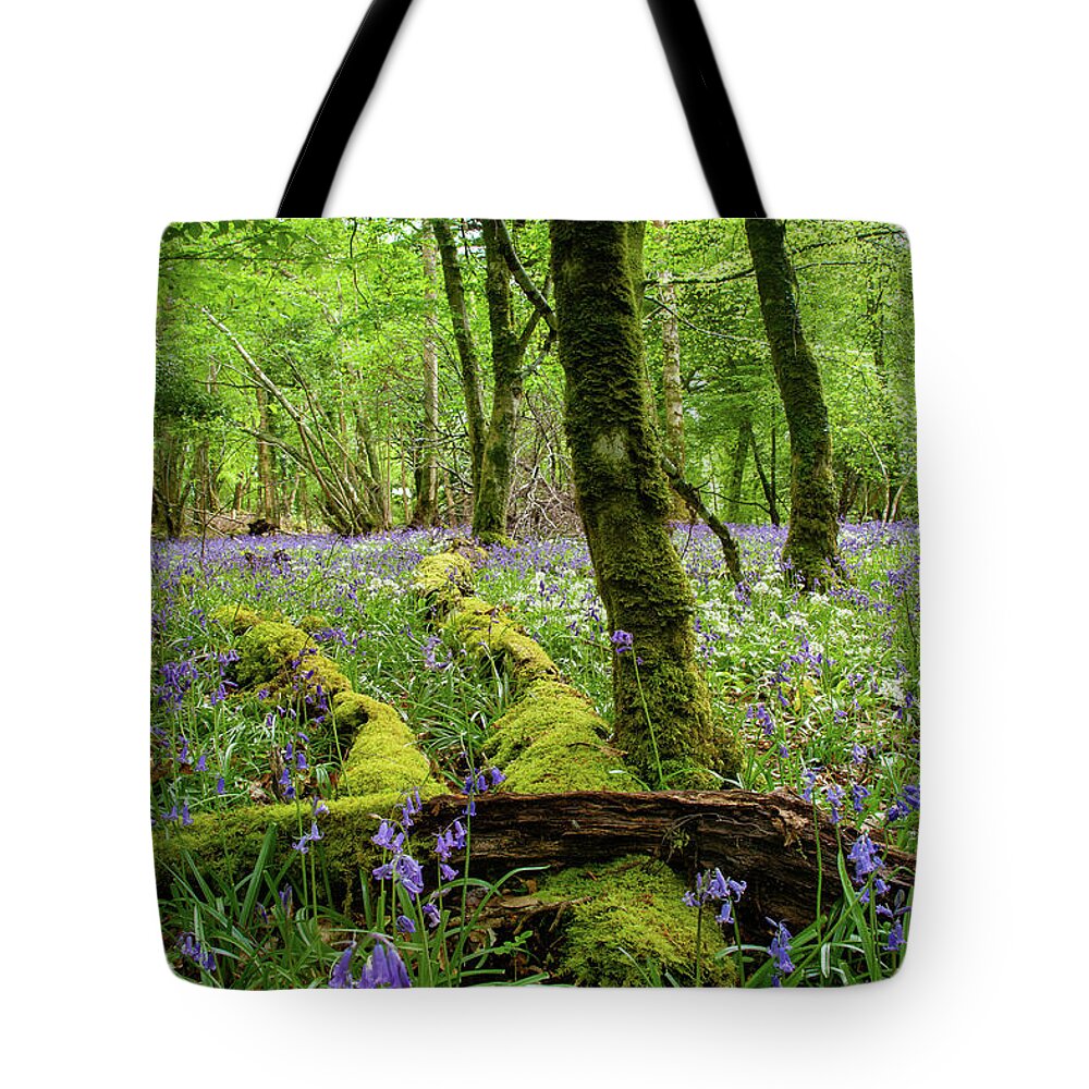 Ross Island Tote Bag featuring the photograph Ross Bluebell recycleing by Mark Callanan