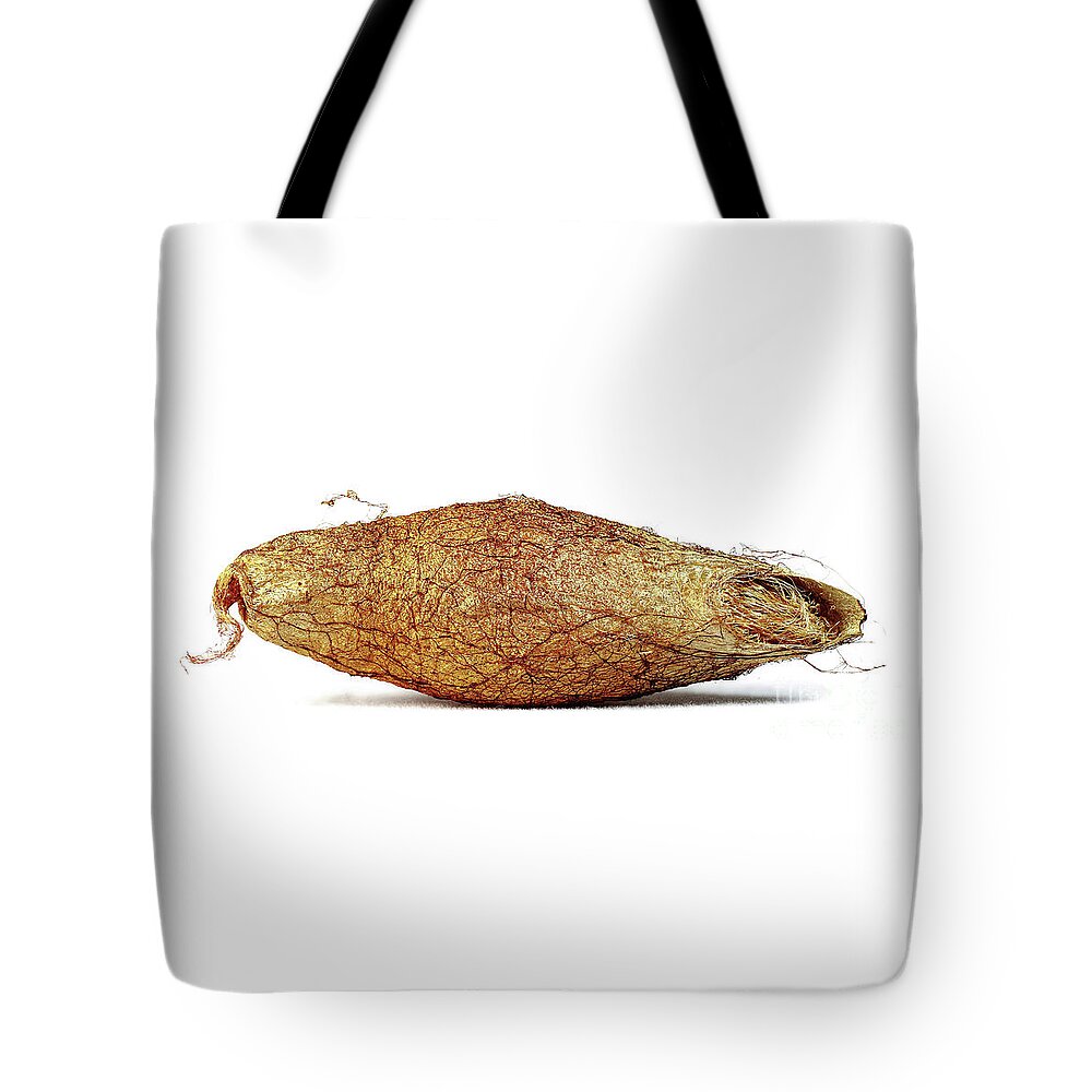 Rothschildia Tote Bag featuring the photograph Rothschildia Lebeau by Frederic Bourrigaud