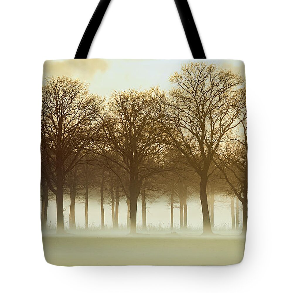 Row Trees Tote Bag featuring the photograph Row trees in a low-hanging mist by Nick Biemans
