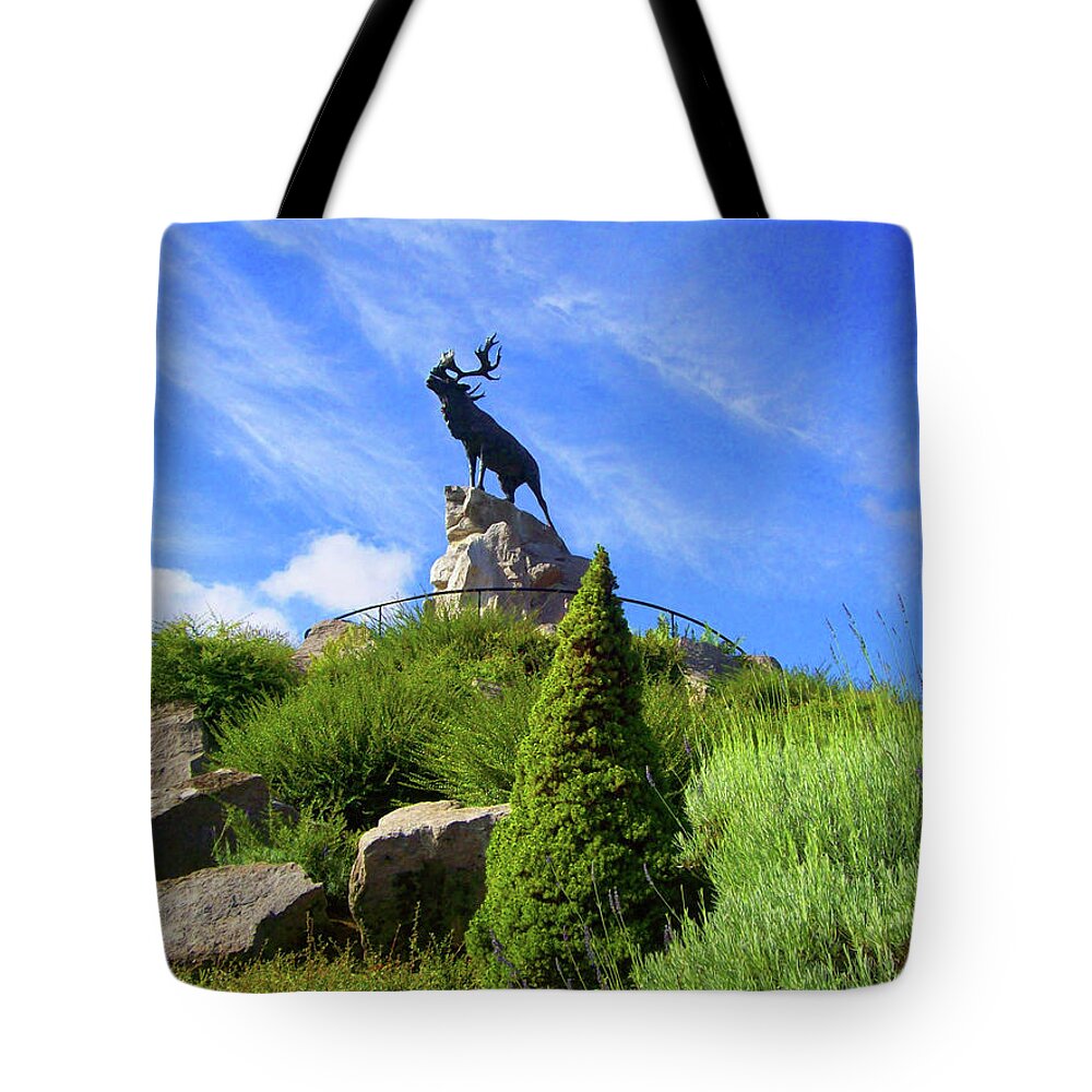 Monument Tote Bag featuring the photograph Royal Newfoundland Regiment by Mary Mikawoz