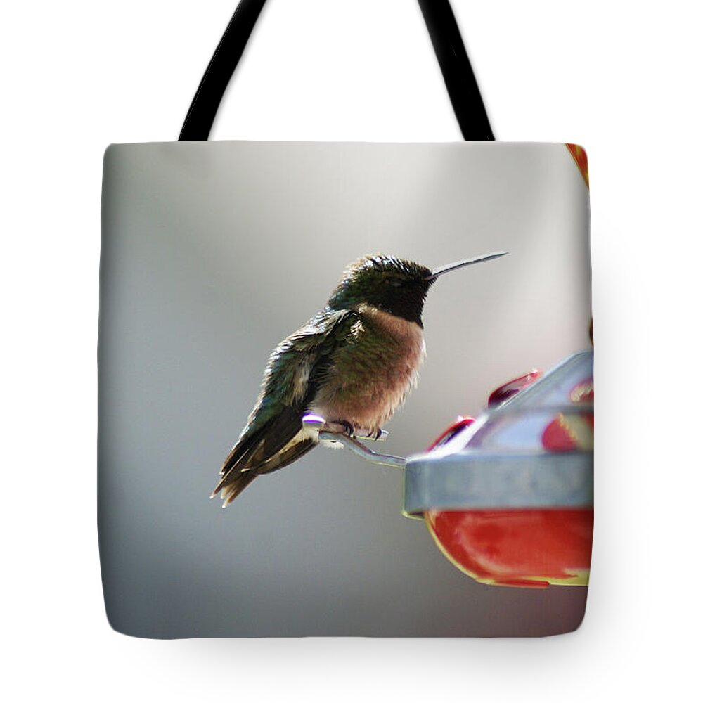  Tote Bag featuring the photograph Ruby Male by Heather E Harman