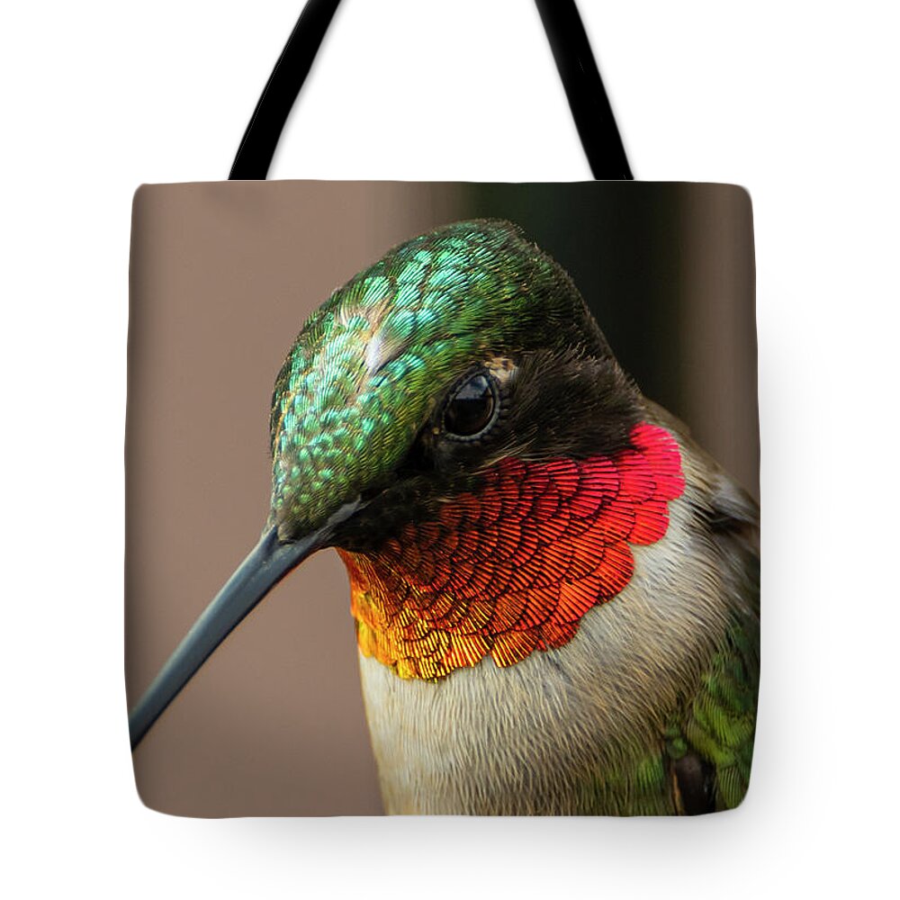 Ruby Throated Hummingbird Tote Bag featuring the photograph Ruby Throated Hummingbird by Sandra J's