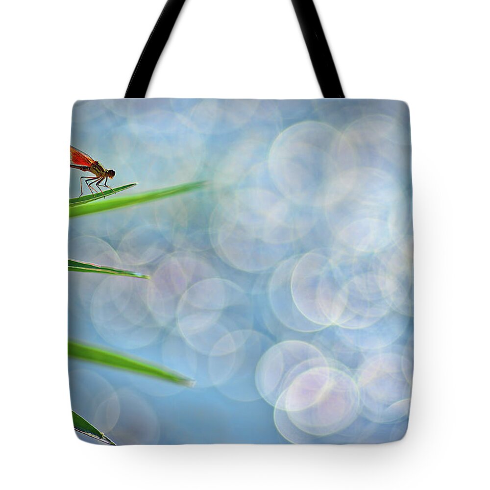 Bokeh Tote Bag featuring the photograph Rubyspot by Robert Charity