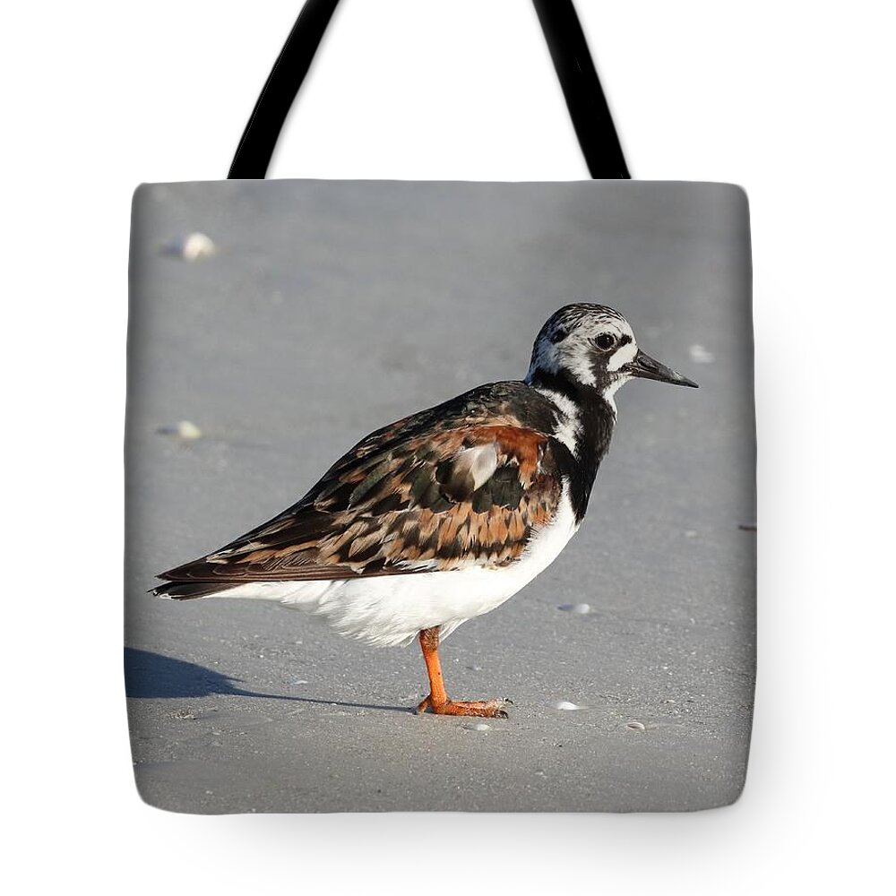 Ruddy Turnstones Tote Bag featuring the photograph Ruddy Turnstone by Mingming Jiang