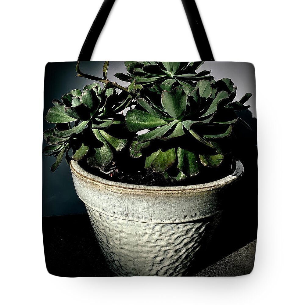 Ruffle Cactus Tote Bag featuring the photograph Ruffle Cactus by Luther Fine Art