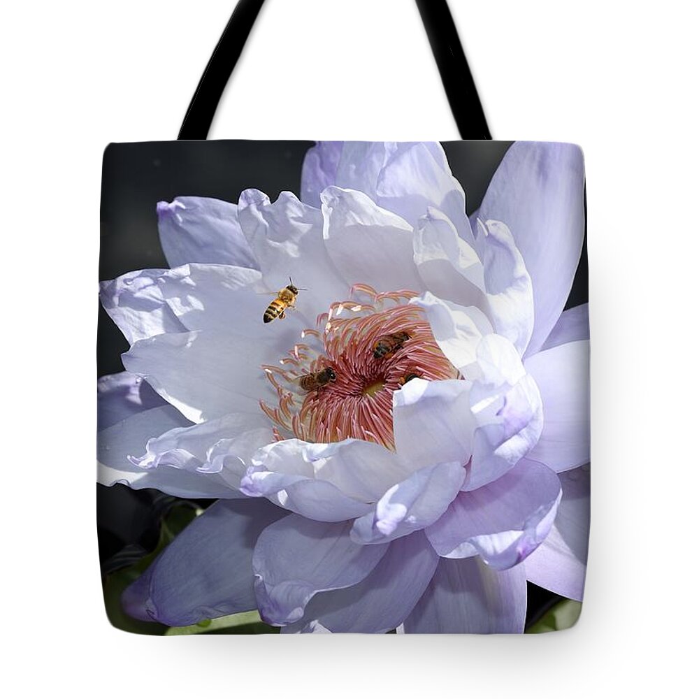 Water Lily Tote Bag featuring the photograph Ruffled Water Lily by Mingming Jiang